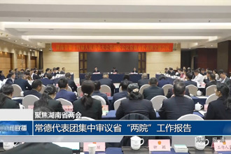 常德代表团集中审议省“两院”工作报告