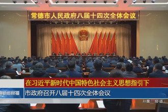 市政府召开八届十四次全体会议