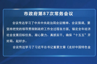 市政府第87次常务会议召开
