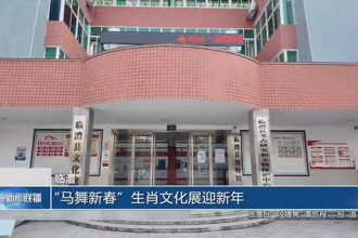 临澧：“马舞新春”生肖文化展迎新年