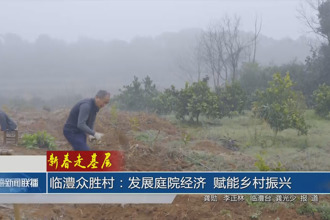 临澧众胜村：发展庭院经济 赋能乡村振兴