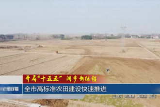 常德市高标准农田建设快速推进