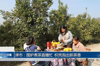 津市：围炉煮茶直播忙 枳壳泡出新茶香