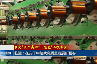 临澧：在实干中绘就高质量发展新画卷