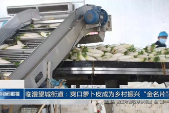 临澧望城街道：爽口萝卜皮成为乡村振兴“金名片”