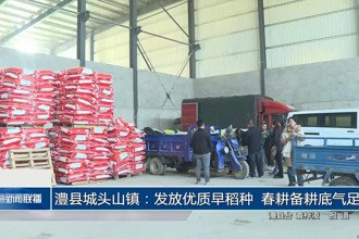 澧县城头山镇：发放优质早稻种 春耕备耕底气足