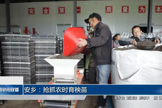 安乡：抢抓农时育秧苗
