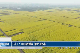 石门：田园易趣 相约易市