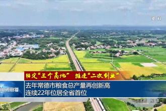 去年常德市粮食总产量再创新高 连续22年位居全省首位