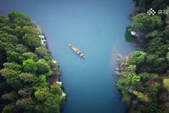 【央视频】常德桃花