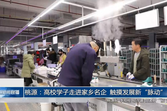 桃源：高校学子走进家乡名企 触摸发展新“脉动”