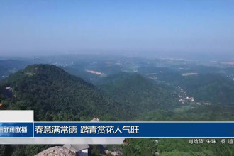 春意满常德 踏青赏花人气旺