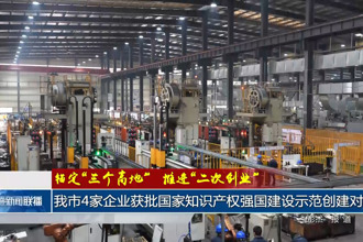 常德市4家企业获批国家知识产权强国建设示范创建对象