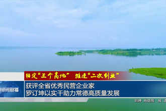 获评全省优秀民营企业家罗订坤以实干助力常德高质量发展