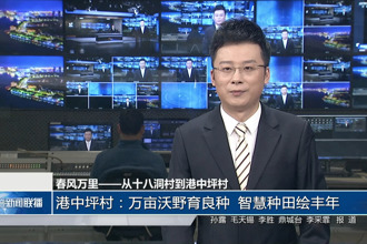 港中坪村：万亩沃野育良种 智慧种田绘丰年