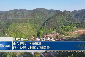 山乡破题 平原筑基 双村映照乡村振兴新图景