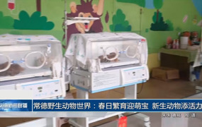 常德野生动物世界：春日繁育迎萌宝 新生动物添活力