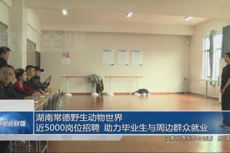 湖南常德野生动物世界近5000岗位招聘 助力毕业生与周边群众就业