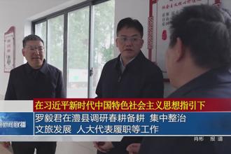 罗毅君在澧县调研春耕备耕 集中整治 文旅发展 人大代表履职等工作