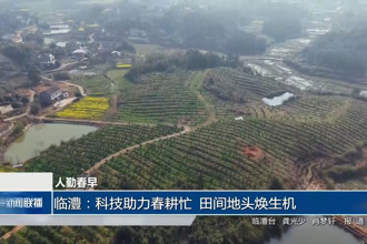 临澧：科技助力春耕忙 田间地头焕生机