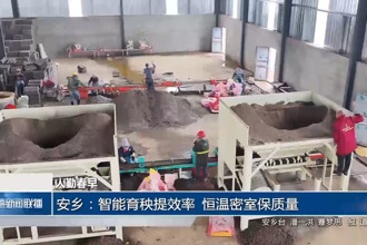 安乡：智能育秧提效率 恒温密室保质量