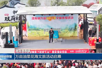 澧县澧南镇：万亩油菜花海文旅活动启幕