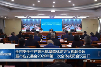 常德市安全生产防汛抗旱森林防灭火视频会议暨市应安委会2026年第一次全体成员会议召开