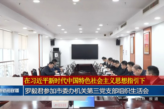 罗毅君参加市委办机关第三党支部组织生活会