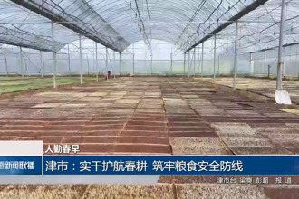津市：实干护航春耕 筑牢粮食安全防线