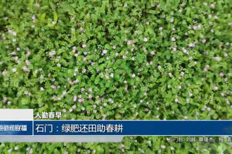 石门：绿肥还田助春耕