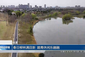 临澧：春日柳林满目新 踏青休闲乐融融