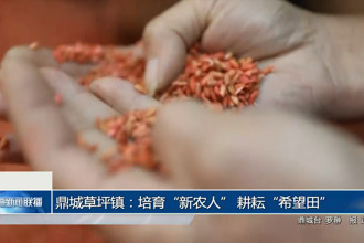 鼎城草坪镇：培育“新农人” 耕耘“希望田”