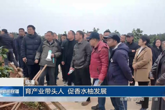 临澧：育产业带头人 促香水柚发展