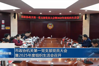 市政协机关第一党支部党员大会暨2025年度组织生活会召开