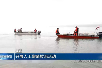 鼎城：开展人工增殖放流活动