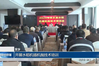 安乡： 开展水稻机插机抛技术培训