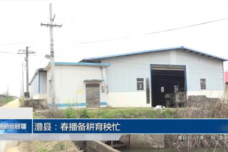 澧县：春播备耕育秧忙