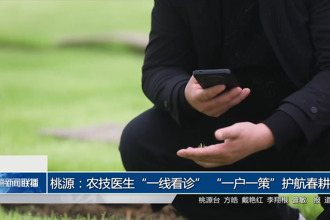 临澧：压电提水护春耕