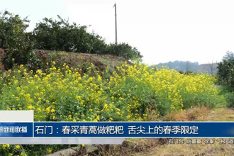 石门：春采青蒿做粑粑 舌尖上的春季限定