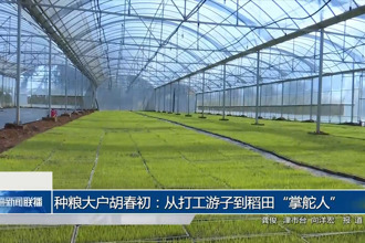 种粮大户胡春初：从打工游子到稻田“掌舵人”
