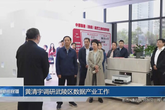黄清宇调研武陵区数据产业工作