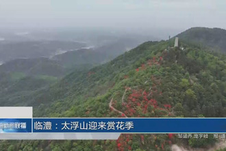 临澧：太浮山迎来赏花季