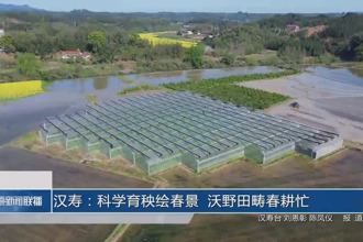 汉寿：科学育秧绘春景 沃野田畴春耕忙