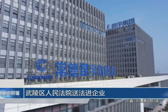 武陵区人民法院送法进企业