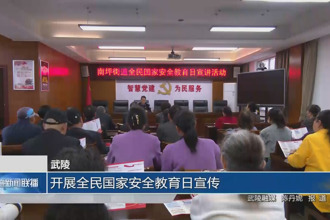 武陵：开展全民国家安全教育日宣传