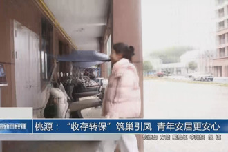 桃源：“收存转保”筑巢引凤 青年安居更安心