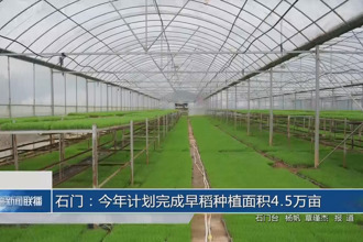 石门：今年计划完成早稻种植面积4.5万亩