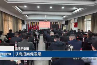 临澧： 以商招商促发展