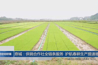 鼎城：供销合作社全链条服务 护航春耕生产提速增效