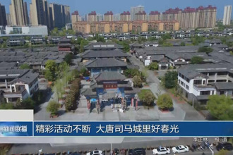 精彩活动不断 大唐司马城里好春光